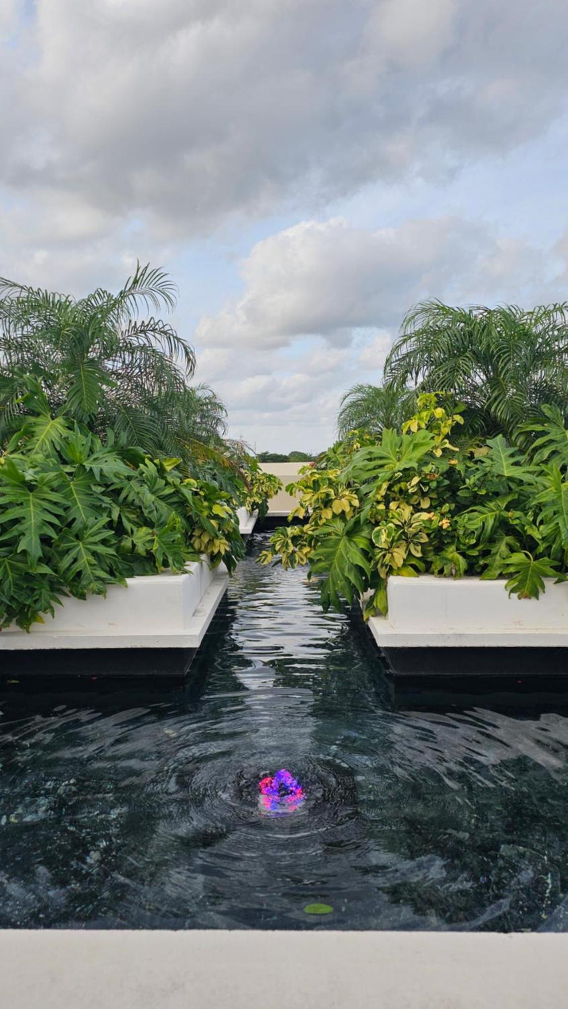 Xoza Cancun Distinctive Hotels Eksteriør bilde